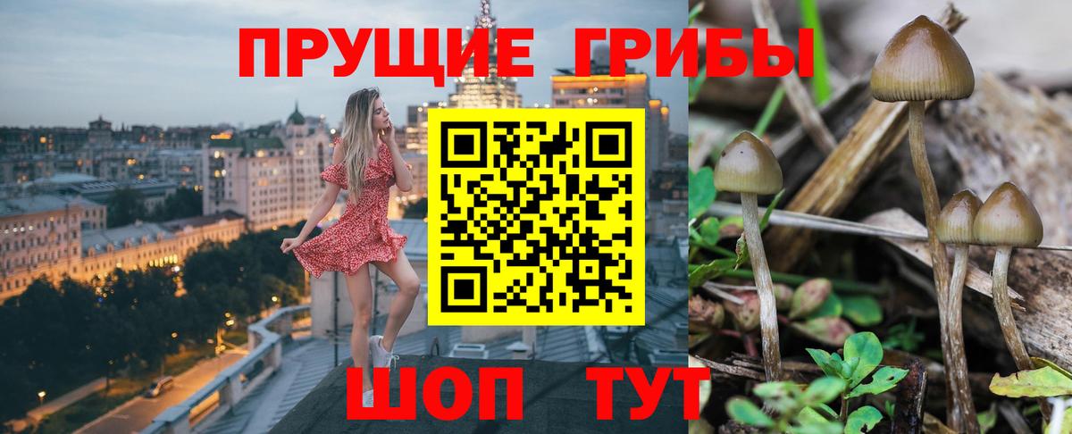 Галлюциногенные грибы GOLDEN TEACHER Шадринск
